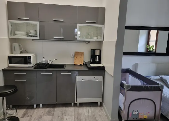 Przy Rynku Black And White דירה